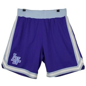 Hsin Chu Toplus Lioneers Mitchell & Ness Large Shorts Purple Blue White New